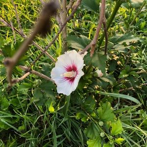 Meet your Posher, Sherrie